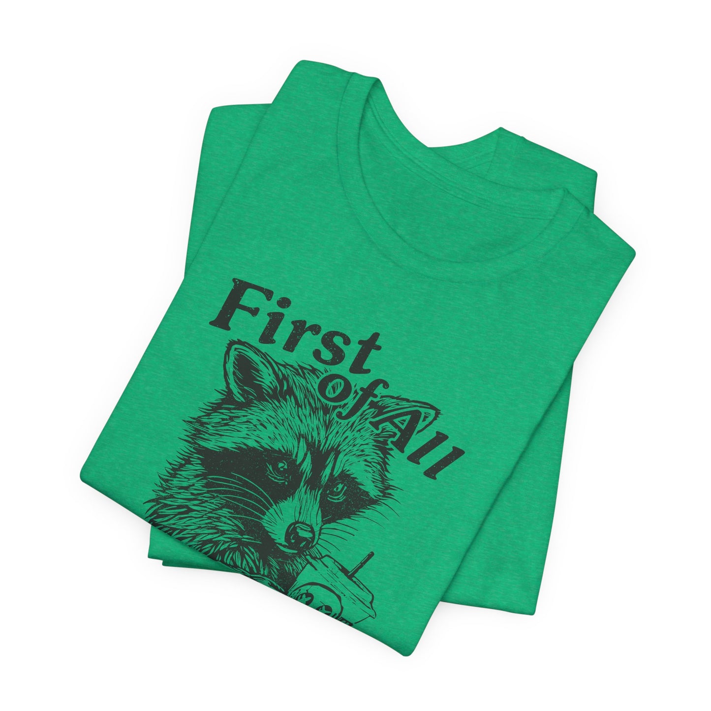 I’m a Delight Raccoon Graphic T-Shirt – Funny Sarcastic Statement Tee