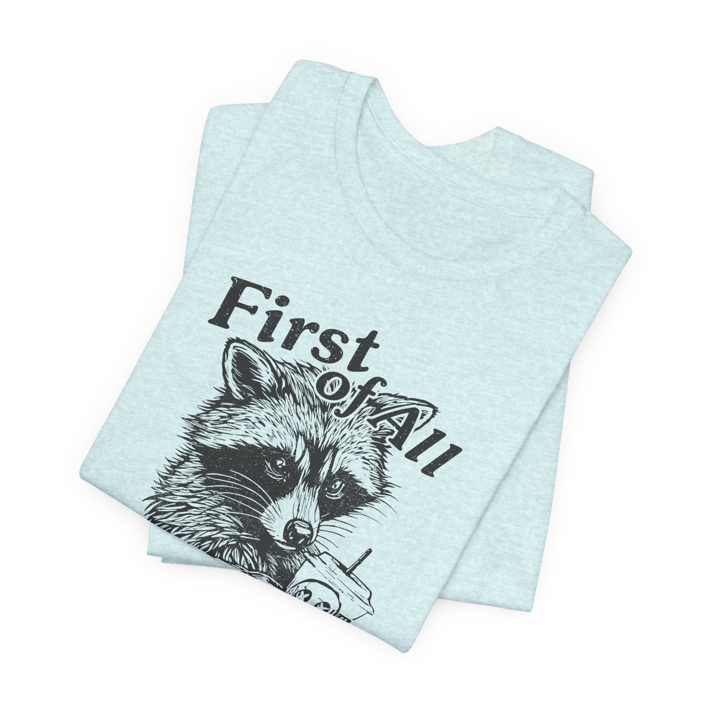 I’m a Delight Raccoon Graphic T-Shirt – Funny Sarcastic Statement Tee