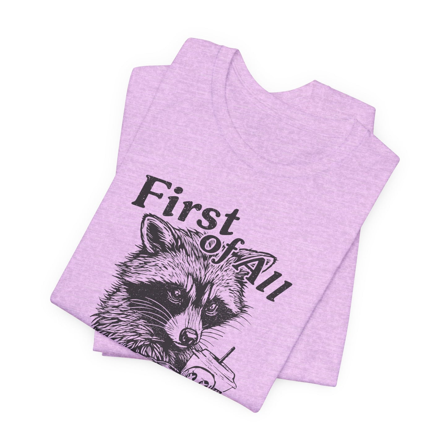 I’m a Delight Raccoon Graphic T-Shirt – Funny Sarcastic Statement Tee